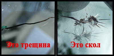 Отличие скола от трещины лобового стекла